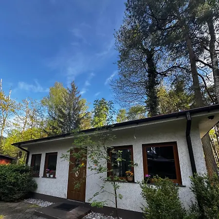 Pansiyon Ahoj Przylesie *